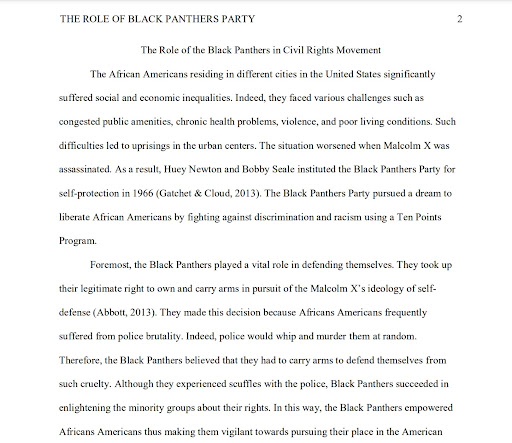 the-role-of-the-black-panthers-in-civil-rights-movement