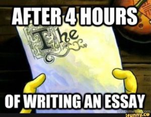 writing an essay