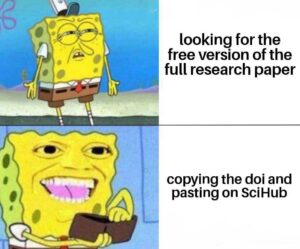 research paper mem