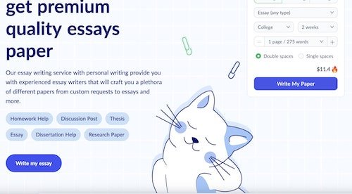 studyfy review